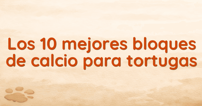 Los 10 mejores bloques de calcio para tortugas Los 10 mejores bloques de calcio para tortugas