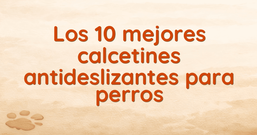 Los 10 mejores calcetines antideslizantes para perros Los 10 mejores calcetines antideslizantes para perros