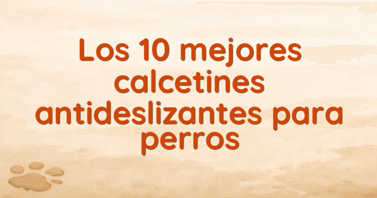 Los 10 mejores calcetines antideslizantes para perros