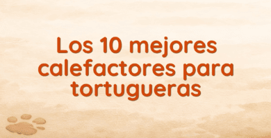 Los 10 mejores calefactores para tortugueras