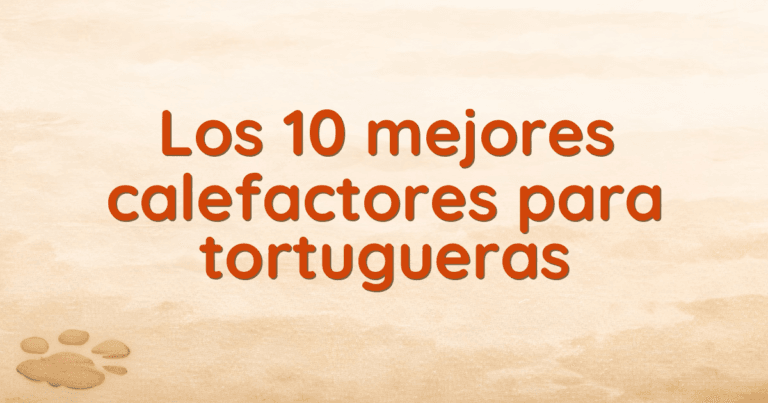 Los 10 mejores calefactores para tortugueras