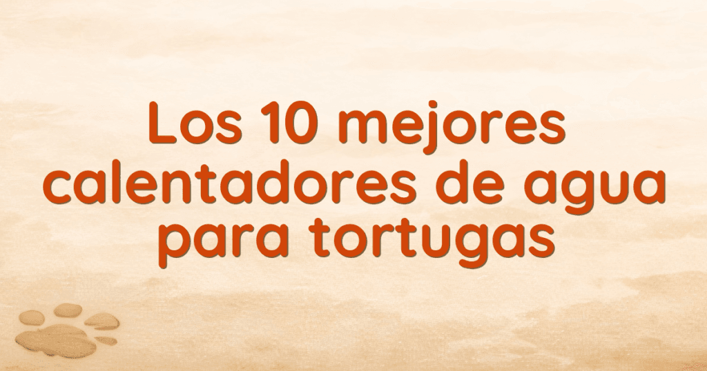 Los 10 mejores calentadores de agua para tortugas Los 10 mejores calentadores de agua para tortugas