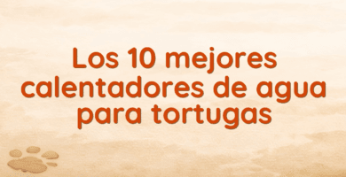 Los 10 mejores calentadores de agua para tortugas Los 10 mejores calentadores de agua para tortugas