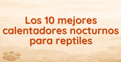 Los 10 mejores calentadores nocturnos para reptiles Los 10 mejores calentadores nocturnos para reptiles