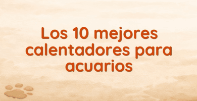 Los 10 mejores calentadores para acuarios