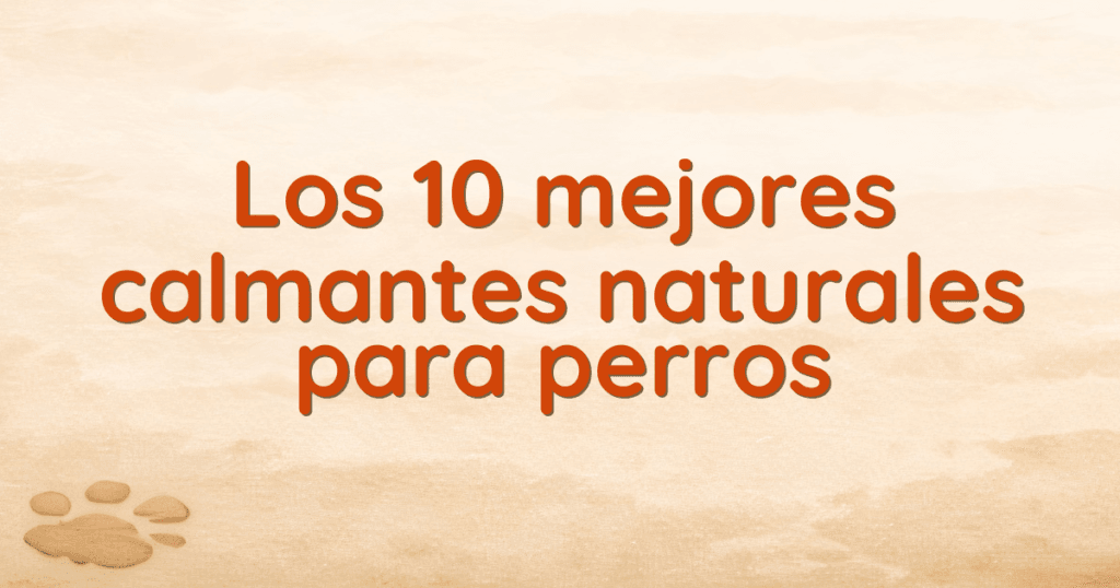 Los 10 mejores calmantes naturales para perros