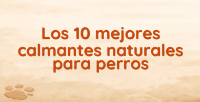 Los 10 mejores calmantes naturales para perros