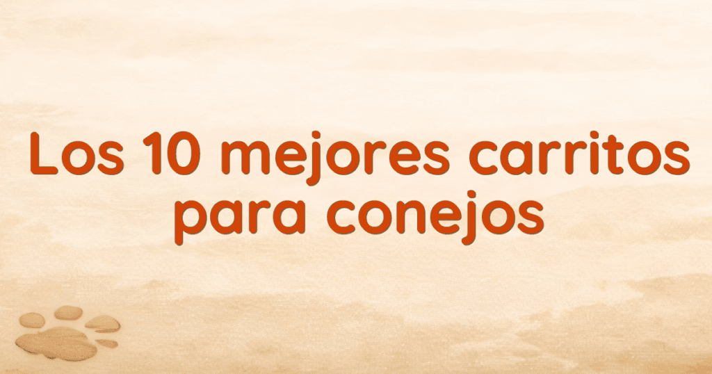 Los 10 mejores carritos para conejos