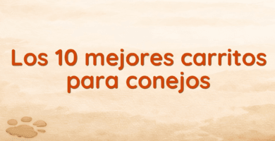 Los 10 mejores carritos para conejos