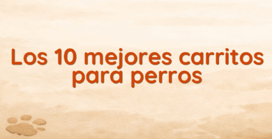 Los 10 mejores carritos para perros