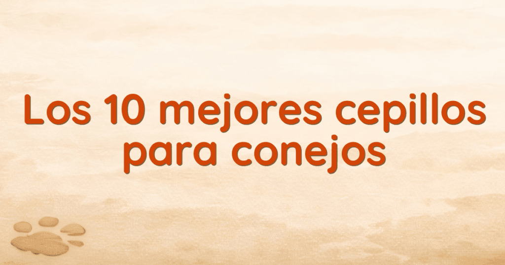 Los 10 mejores cepillos para conejos Los 10 mejores cepillos para conejos