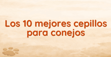 Los 10 mejores cepillos para conejos Los 10 mejores cepillos para conejos