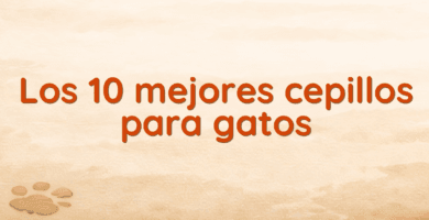 Los 10 mejores cepillos para gatos