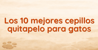 Los 10 mejores cepillos quitapelo para gatos Los 10 mejores cepillos quitapelo para gatos
