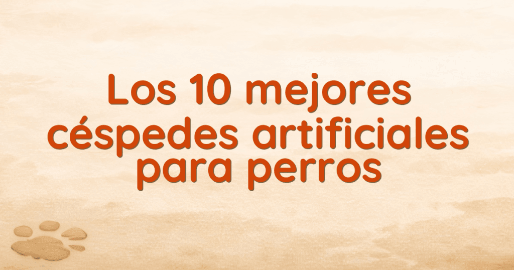 Los 10 mejores céspedes artificiales para perros Los 10 mejores céspedes artificiales para perros