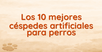 Los 10 mejores céspedes artificiales para perros Los 10 mejores céspedes artificiales para perros