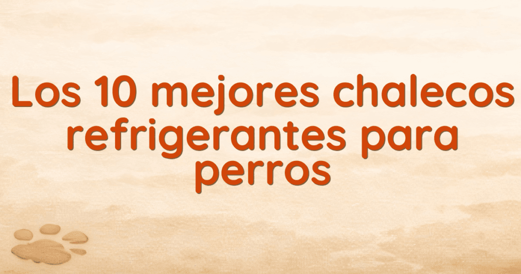 Los 10 mejores chalecos refrigerantes para perros
