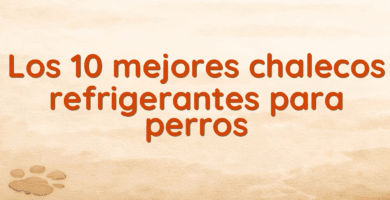 Los 10 mejores chalecos refrigerantes para perros