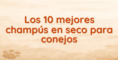 Los 10 mejores champús en seco para conejos