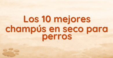 Los 10 mejores champús en seco para perros
