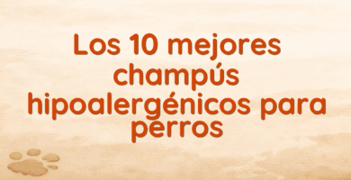 Los 10 mejores champús hipoalergénicos para perros