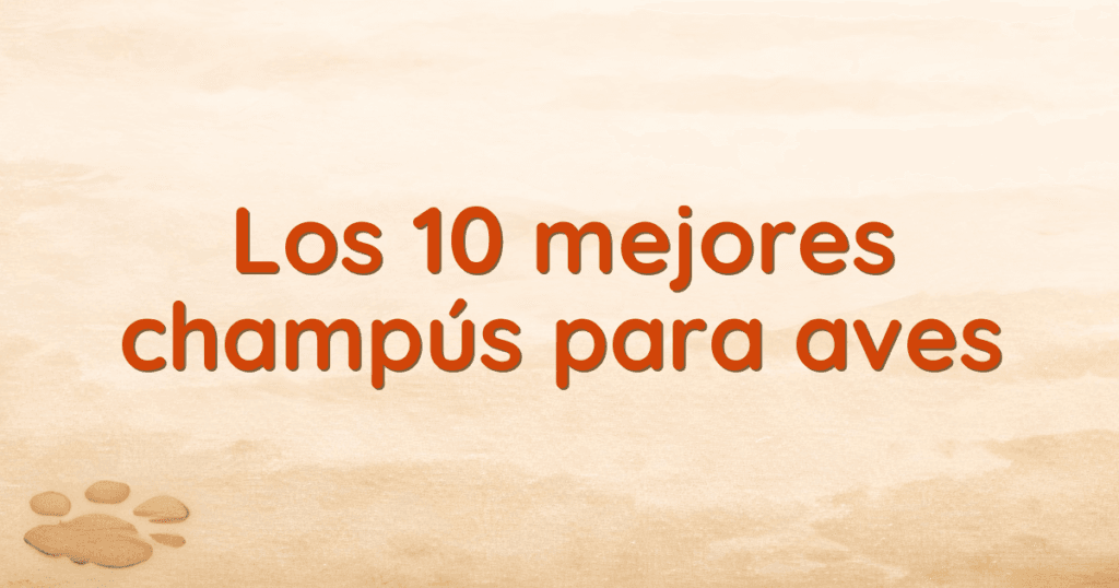 Los 10 mejores champús para aves