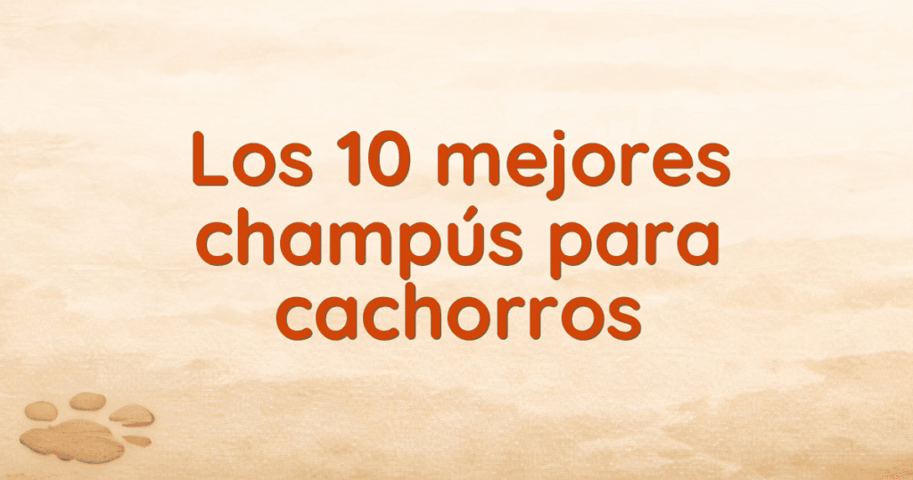 Los 10 mejores champús para cachorros Los 10 mejores champús para cachorros