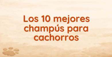 Los 10 mejores champús para cachorros Los 10 mejores champús para cachorros