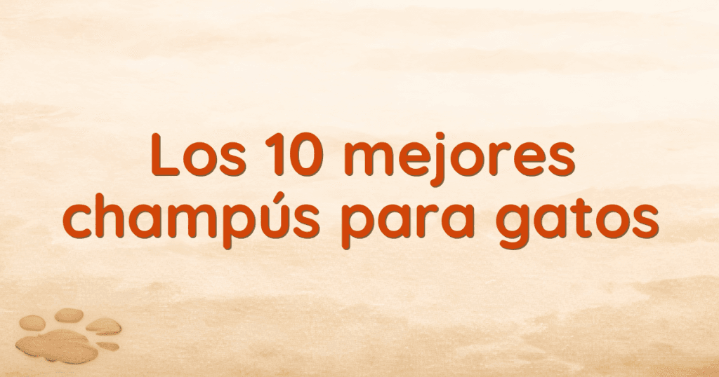 Los 10 mejores champús para gatos