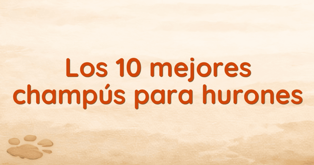Los 10 mejores champús para hurones