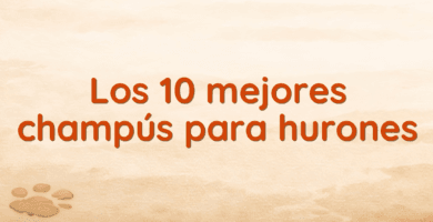 Los 10 mejores champús para hurones Los 10 mejores champús para hurones