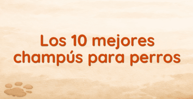 Los 10 mejores champús para perros