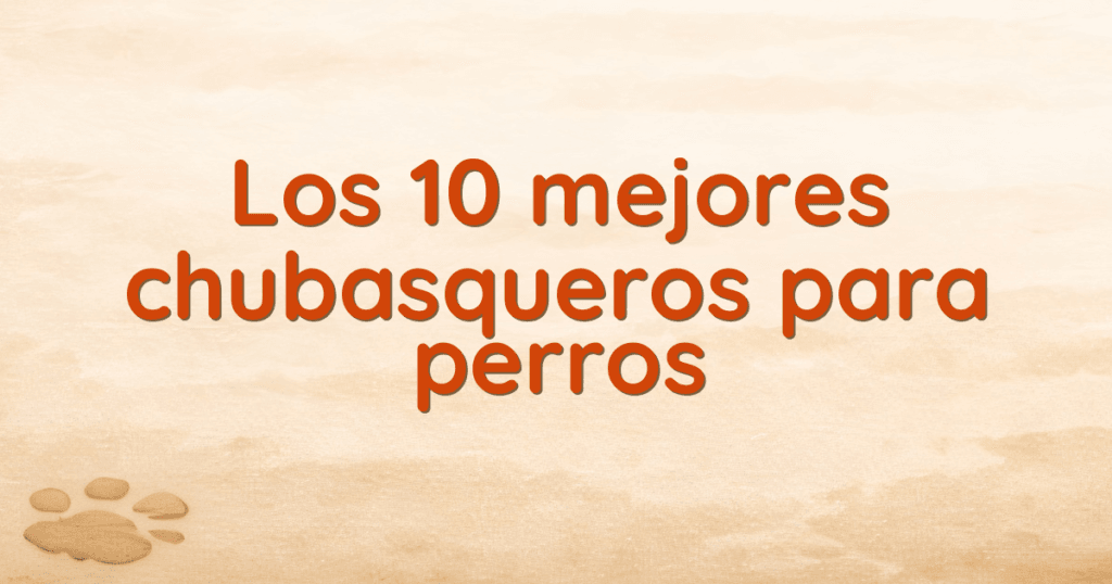 Los 10 mejores chubasqueros para perros Los 10 mejores chubasqueros para perros