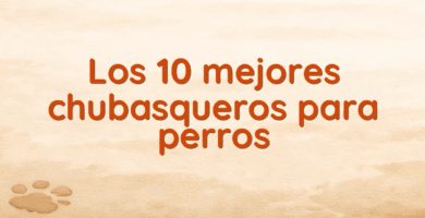 Los 10 mejores chubasqueros para perros Los 10 mejores chubasqueros para perros