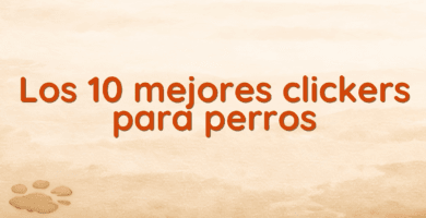 Los 10 mejores clickers para perros