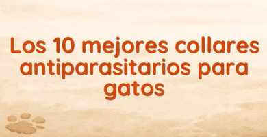 Los 10 mejores collares antiparasitarios para gatos