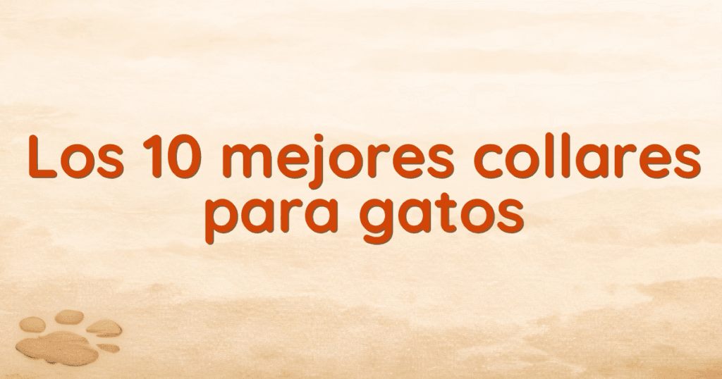 Los 10 mejores collares para gatos Los 10 mejores collares para gatos