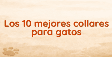 Los 10 mejores collares para gatos