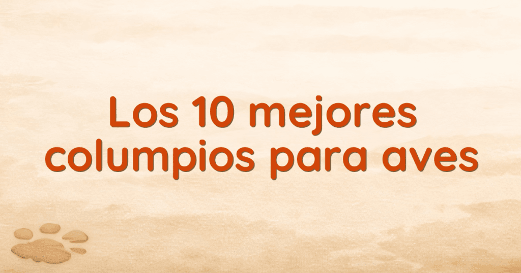 Los 10 mejores columpios para aves