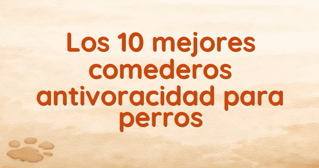 Los 10 mejores comederos antivoracidad para perros Los 10 mejores comederos antivoracidad para perros