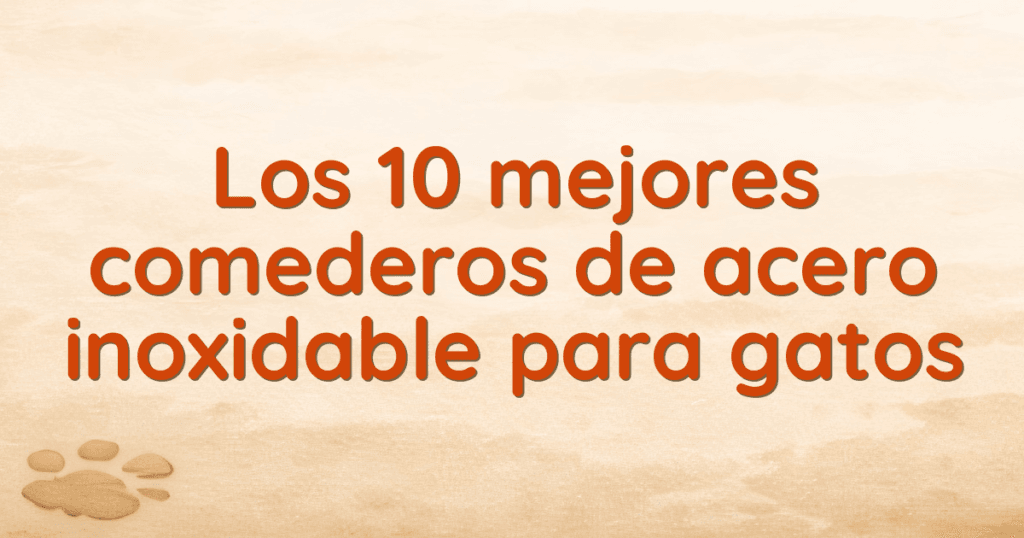 Los 10 mejores comederos de acero inoxidable para gatos Los 10 mejores comederos de acero inoxidable para gatos