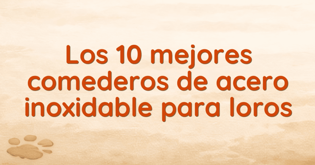 Los 10 mejores comederos de acero inoxidable para loros