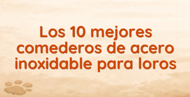 Los 10 mejores comederos de acero inoxidable para loros