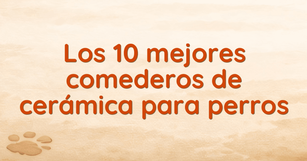 Los 10 mejores comederos de cerámica para perros Los 10 mejores comederos de cerámica para perros