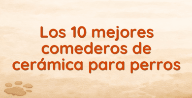 Los 10 mejores comederos de cerámica para perros