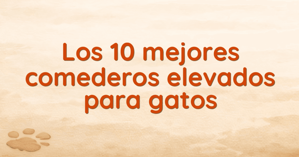 Los 10 mejores comederos elevados para gatos
