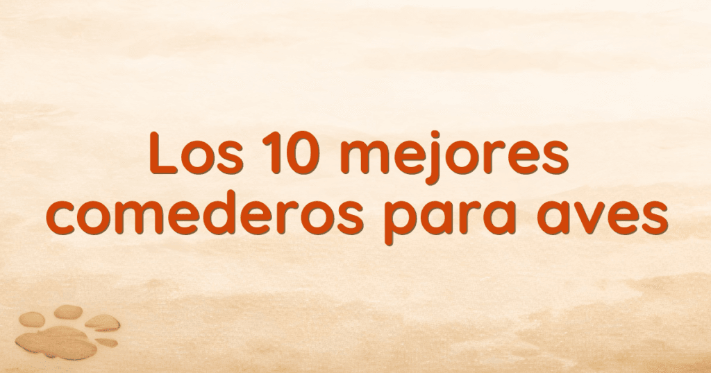 Los 10 mejores comederos para aves Los 10 mejores comederos para aves