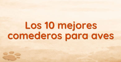 Los 10 mejores comederos para aves Los 10 mejores comederos para aves