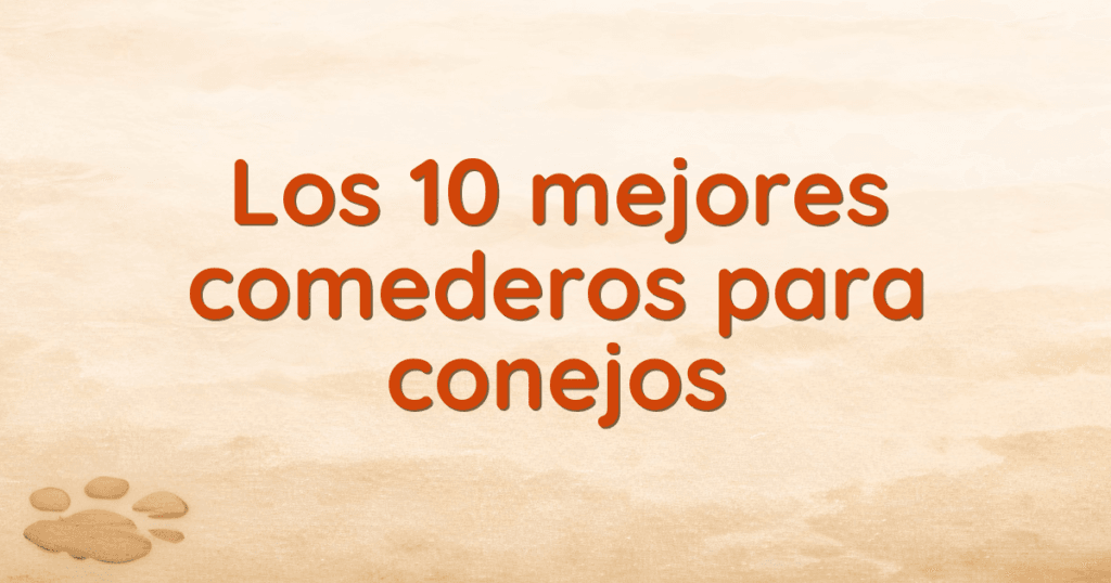 Los 10 mejores comederos para conejos