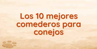 Los 10 mejores comederos para conejos